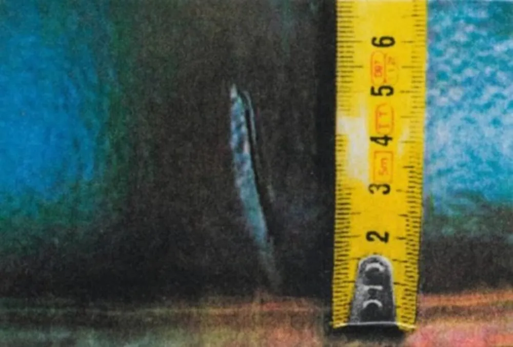 Fotografie Mcbride - Untitled (Rulers IV)