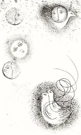 Libro Illustrato Melotti - Homage to Sextus Propertius