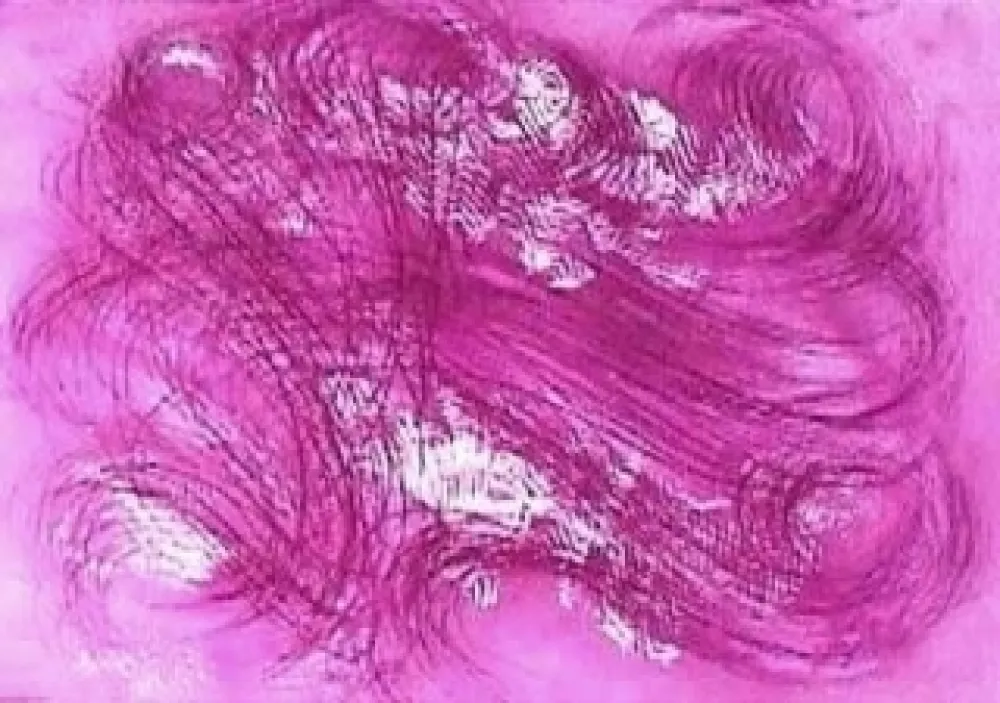 Acquaforte E Acquatinta Messagier - Les mangeurs de vent 