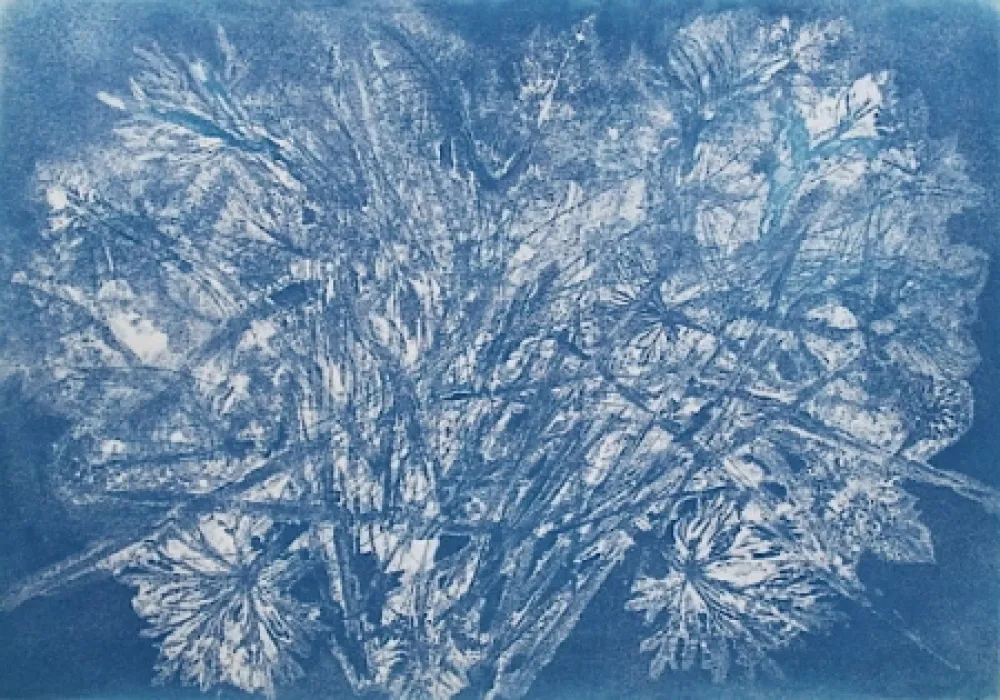 Acquaforte E Acquatinta Messagier -  Machine à Printemps 