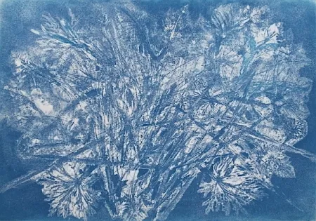 Acquaforte E Acquatinta Messagier -  Machine à Printemps 