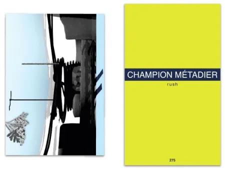 Libro Illustrato Metadier - L'art en écrit