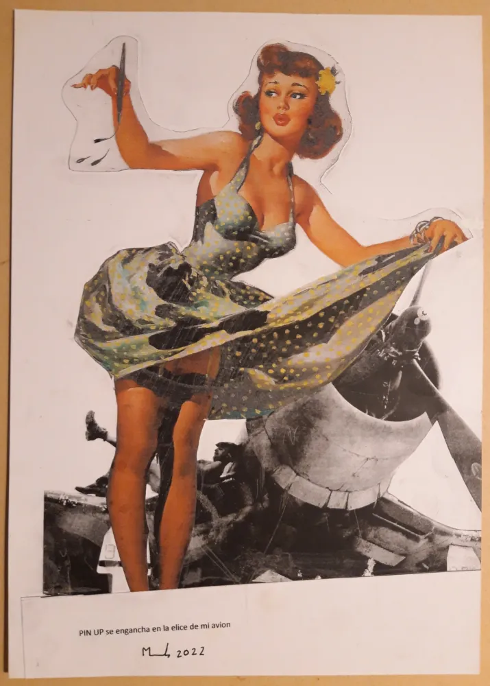 Non Tecnico Metras - PIN UP se engancha en la helice de mi avión