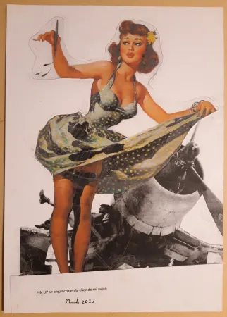 Non Tecnico Metras - PIN UP se engancha en la helice de mi avión