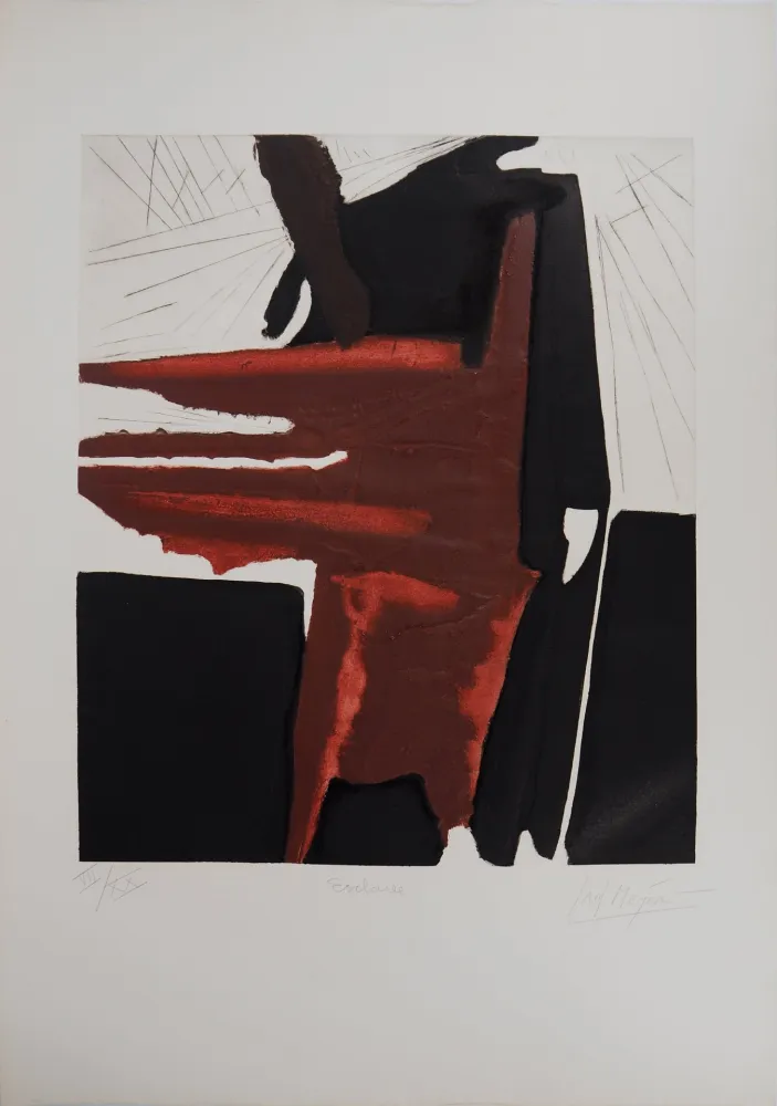 Incisione Meyer - La dernière goutte