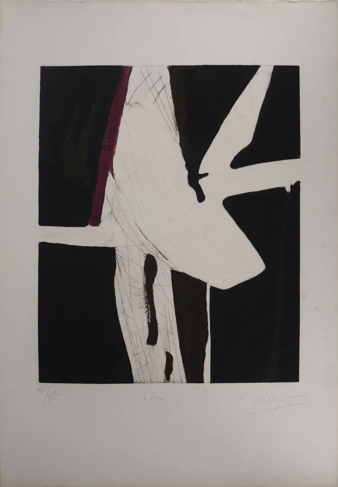 Incisione Meyer - L'âme