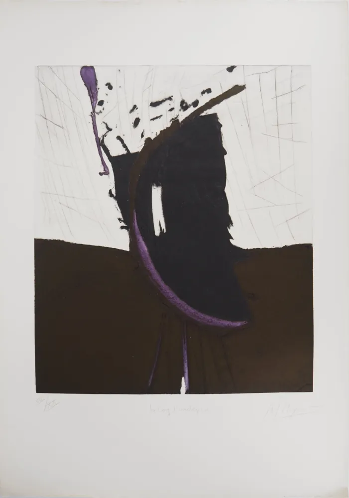 Incisione Meyer - Le Coq d'Asclépios