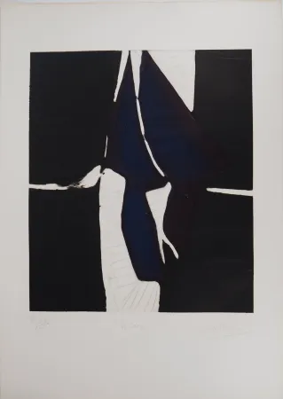 Incisione Meyer - Le Corps