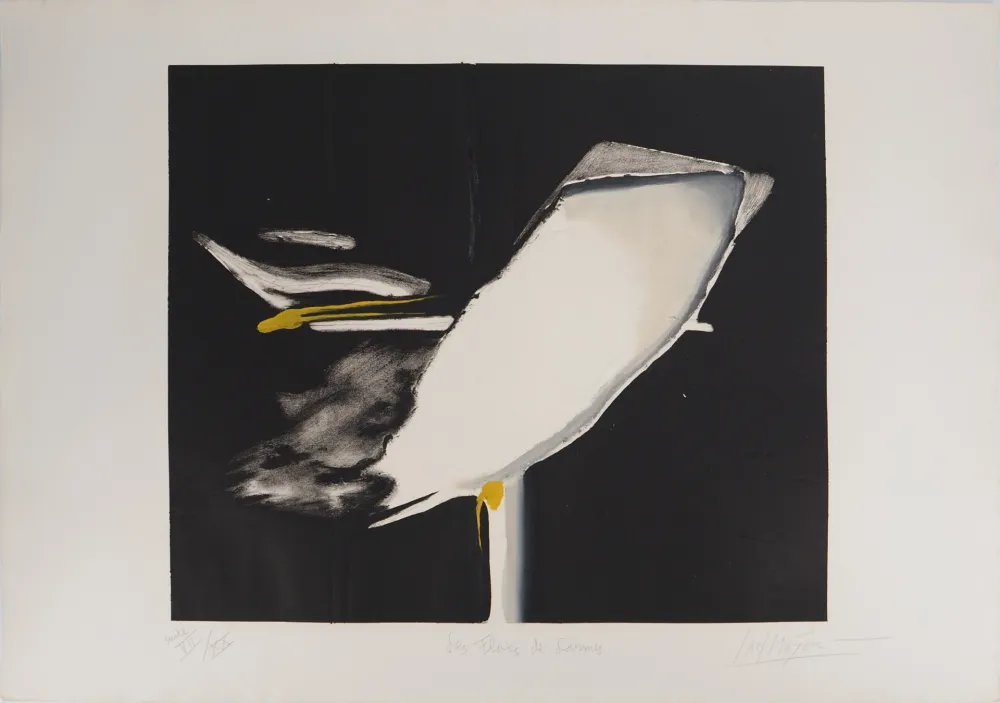 Incisione Meyer - Les Flots de Larmes