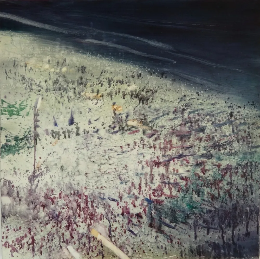 Non Tecnico Meyer - Rio Beach