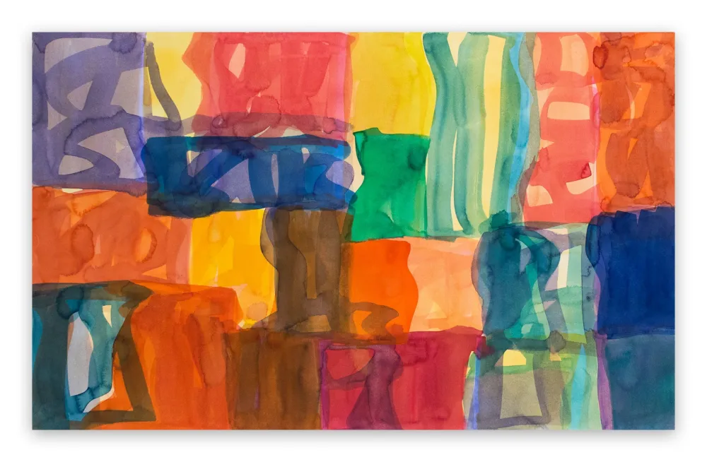 Non Tecnico Meyer - Yaddo B