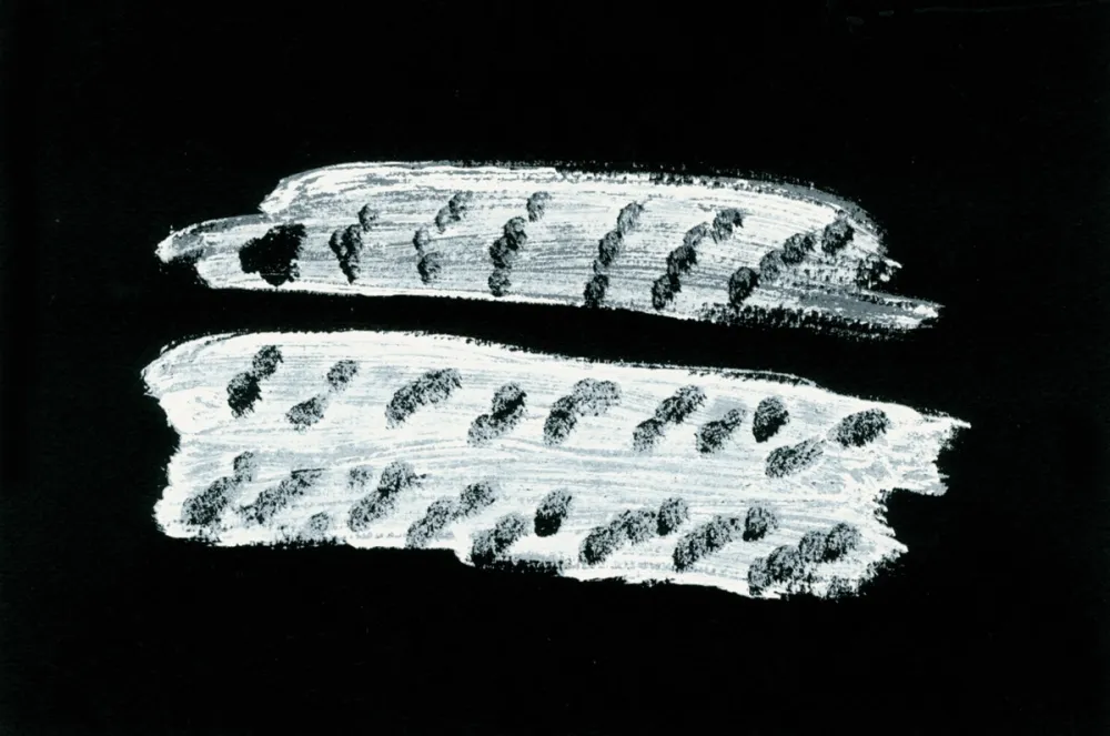 Libro Illustrato Michaux - Comme un ensablement