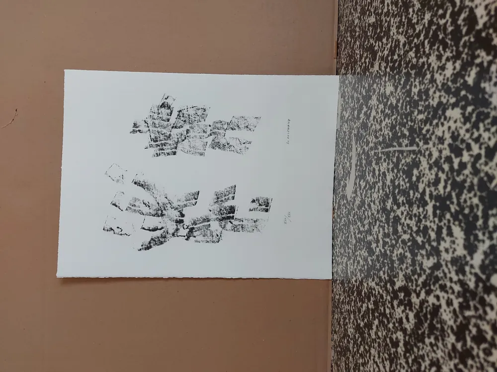 Litografia Michaux - Composition 