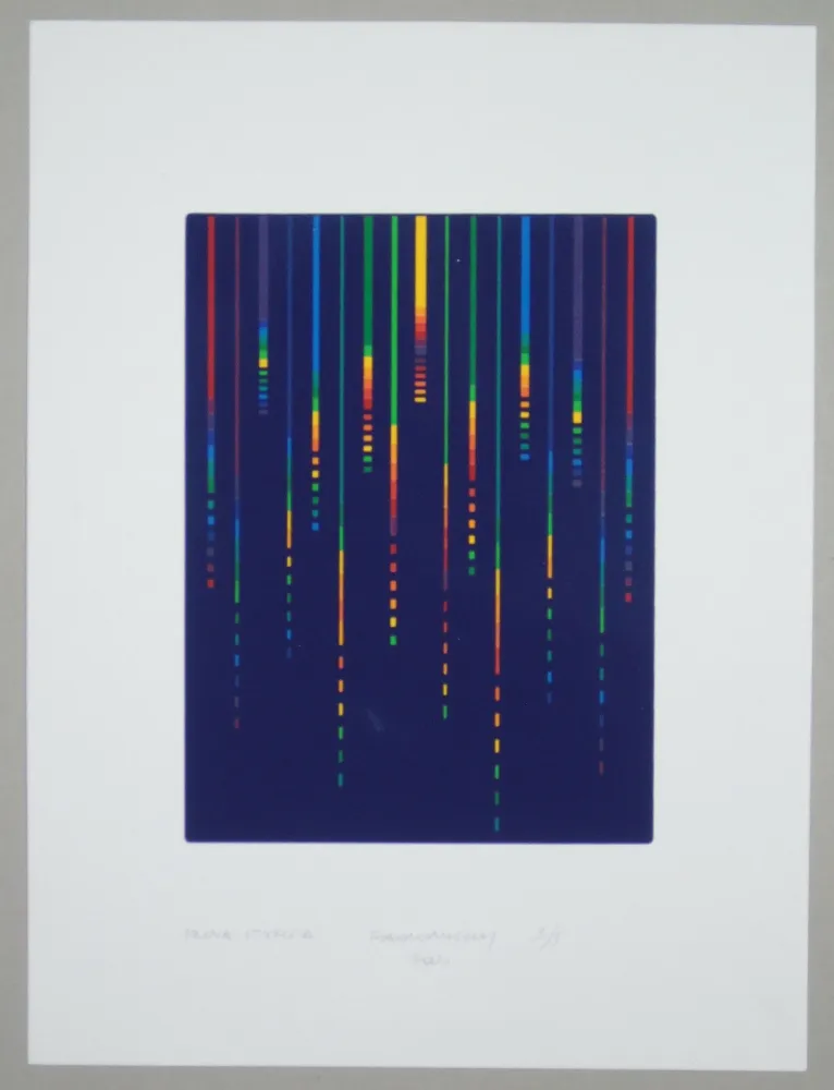 Serigrafia Minoli - Composizione (e)