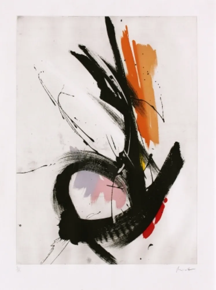 Acquaforte E Acquatinta Miotte - L'eclatment I