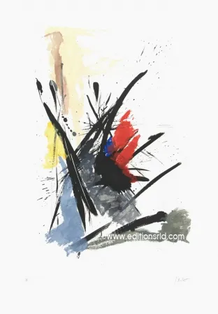 Acquaforte E Acquatinta Miotte - L'iroquois