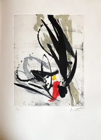 Acquaforte Miotte - Près des murs