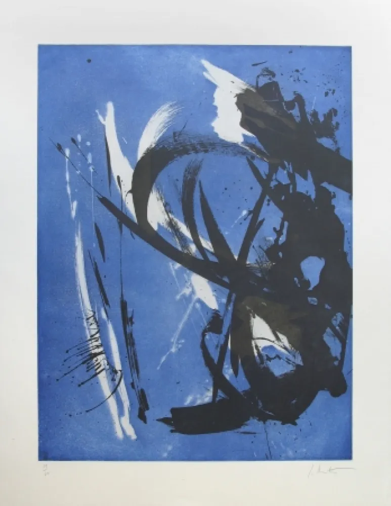 Acquaforte Miotte - Propos délibérés océan