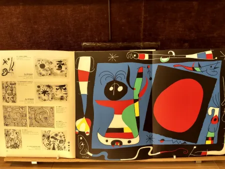Libro Illustrato Miró - 10 ans edition