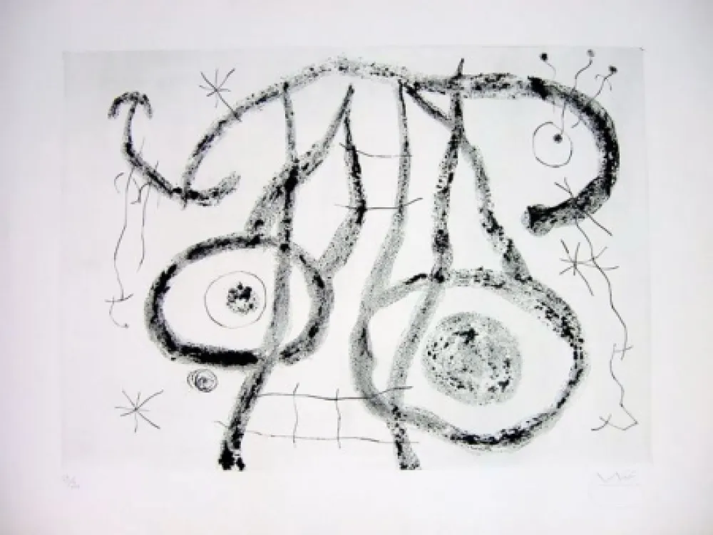 Punta Secca Miró - EL AGUADOR V