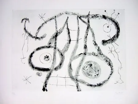 Punta Secca Miró - EL AGUADOR V