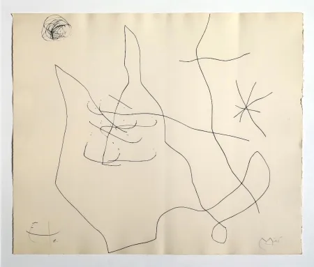 Incisione Miró - Flux de l'aimant