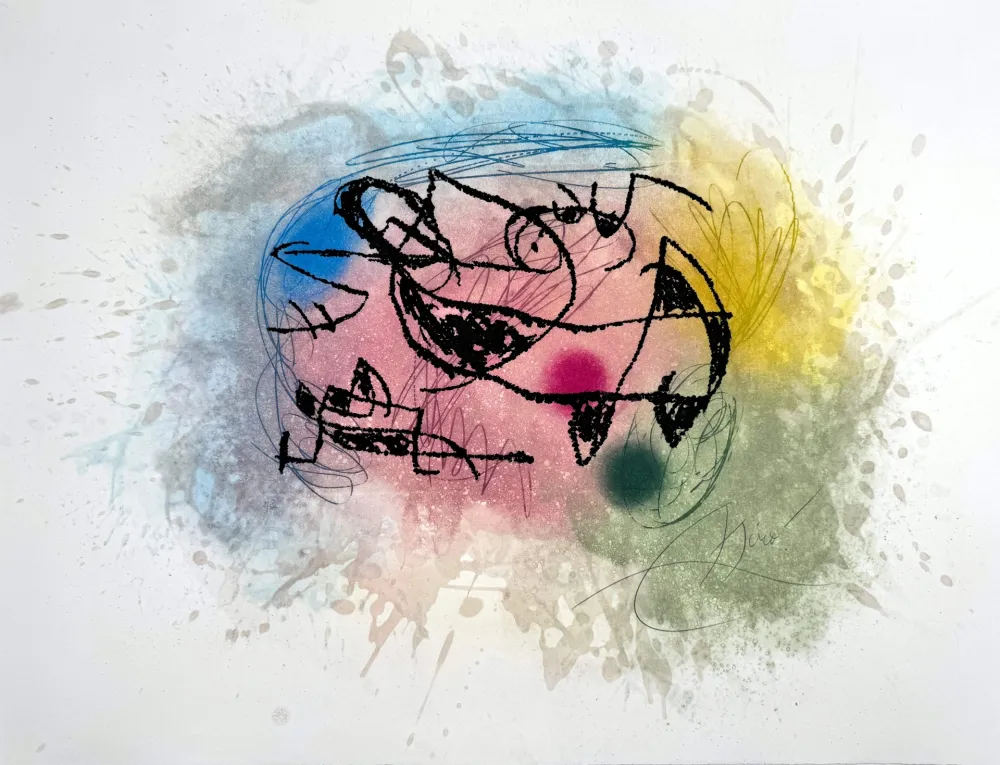 Acquaforte E Acquatinta Miró - Fourmi Rose 