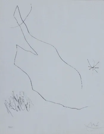 Punta Secca Miró - Journal d'un graveur 5