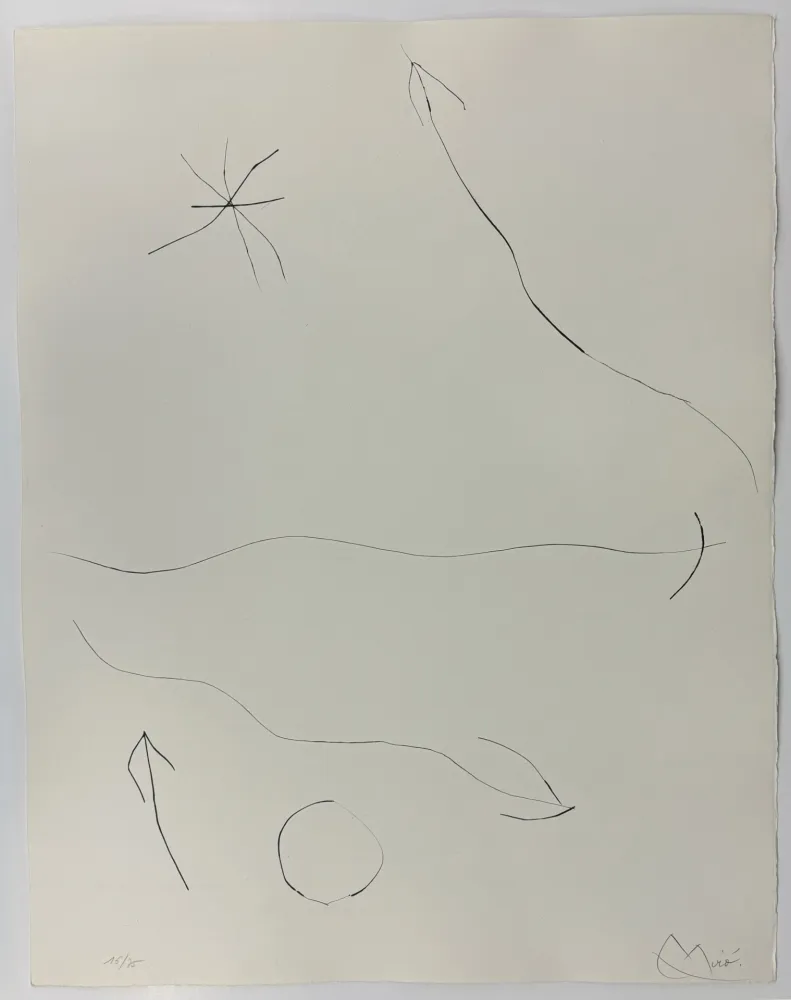 Punta Secca Miró - Journal d'un graveur II