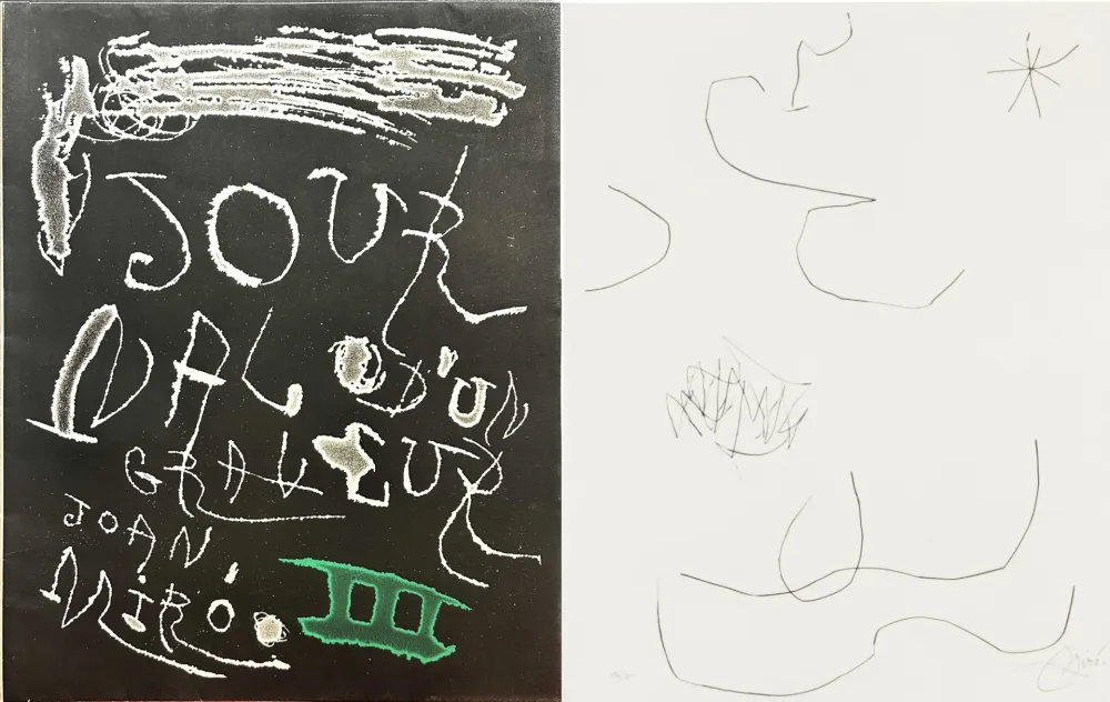 Acquaforte E Acquatinta Miró - Journal d'un Graveur (INCLUDE THE ORIGINAL FOULDER)