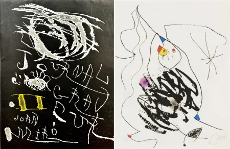 Acquaforte E Acquatinta Miró - Journal d'un Graveur (INCLUDE THE ORIGINAL FOULDER)