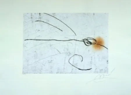 Acquaforte E Acquatinta Miró - Lapidari, Aquilinus