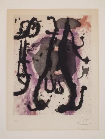 Non Tecnico Miró - Sumo