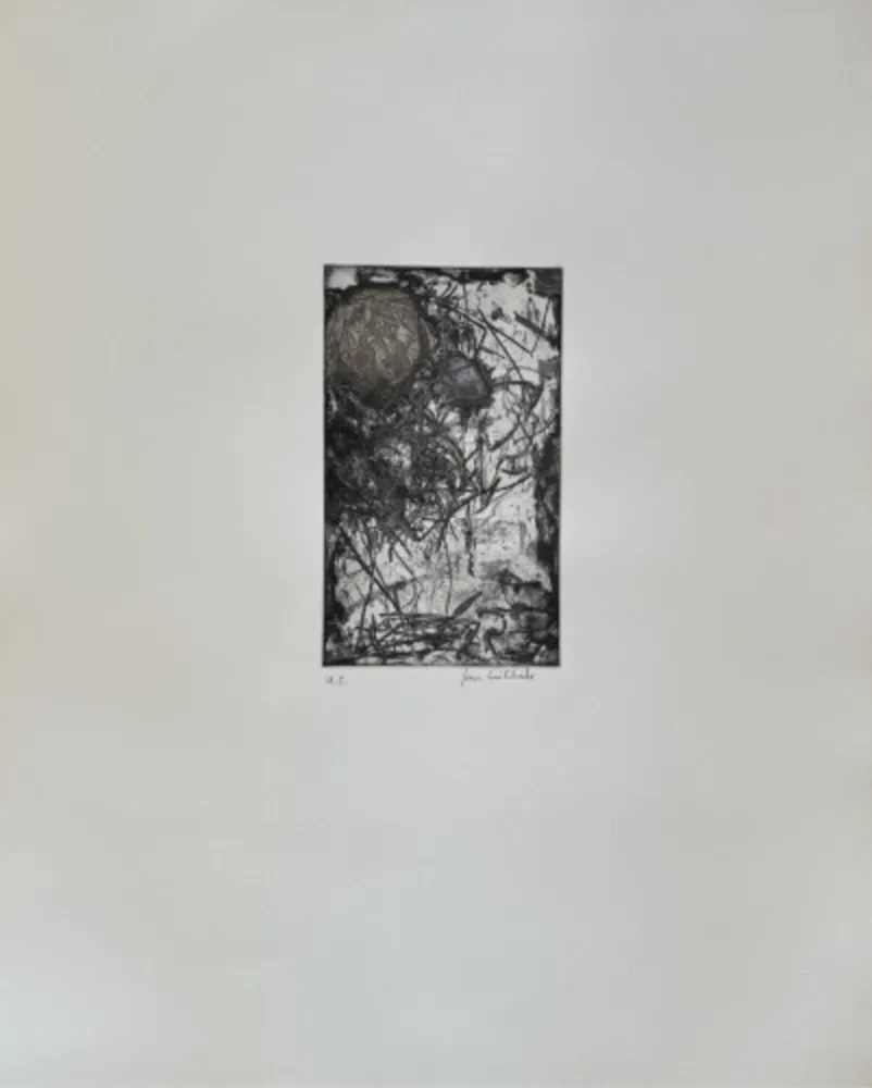 Acquaforte E Acquatinta Mitchell - Sunflower I