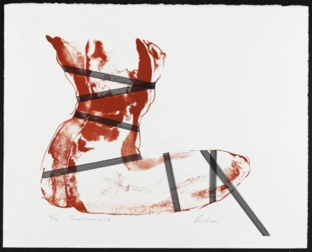 Litografia Mizutani - Diaphane