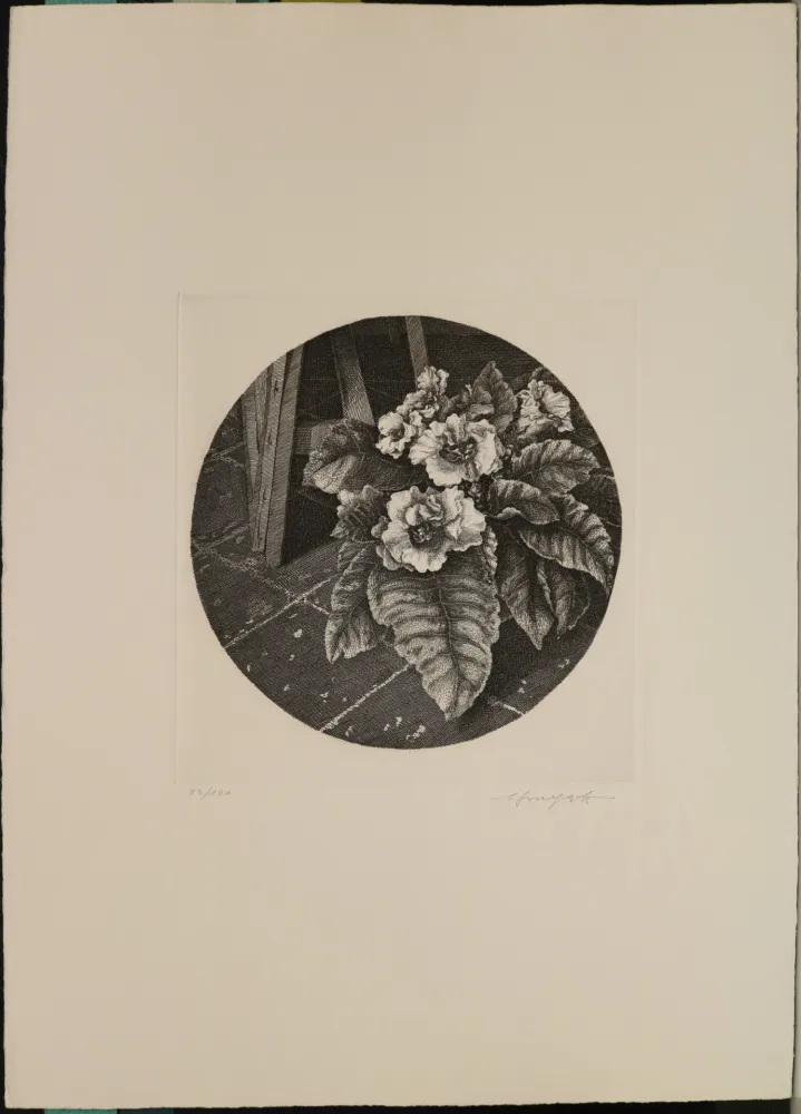 Acquaforte Mongatti - Natura morta