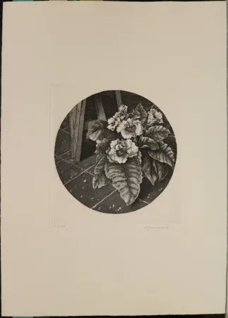 Acquaforte Mongatti - Natura morta