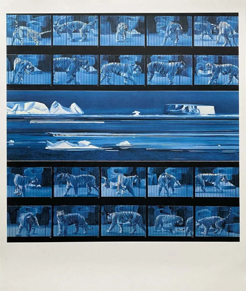 Manifesti Monory - Dream tiger No 4