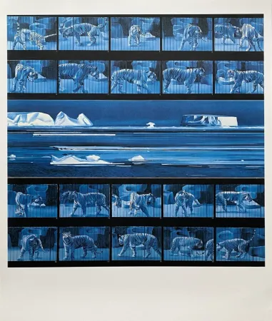 Manifesti Monory - Dream tiger No 4