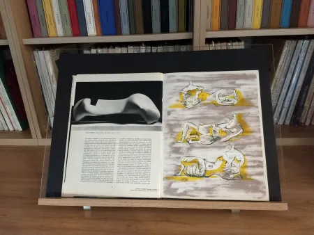 Libro Illustrato Moore - No 36