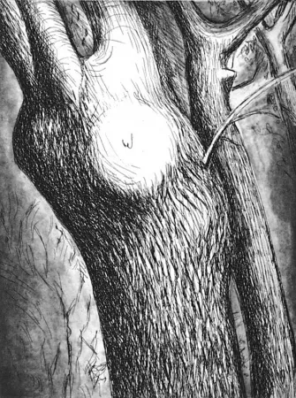 Acquaforte E Acquatinta Moore - Trees VI dead ash