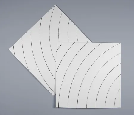 Serigrafia Morellet - Ondes parasites 2