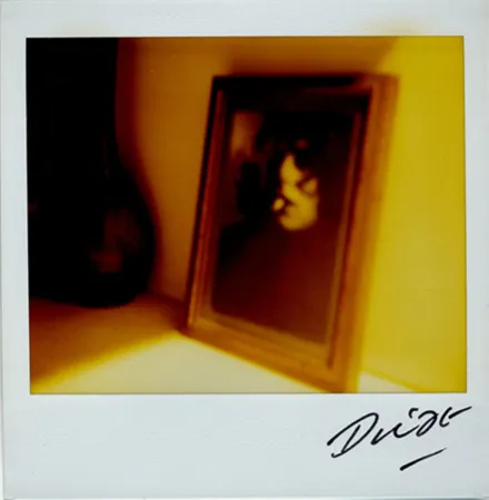 Multiplo Moriyama - Bye-Bye Polaroid 10