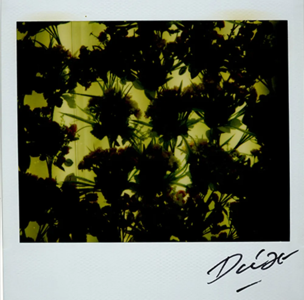 Multiplo Moriyama - Bye-Bye Polaroid 4