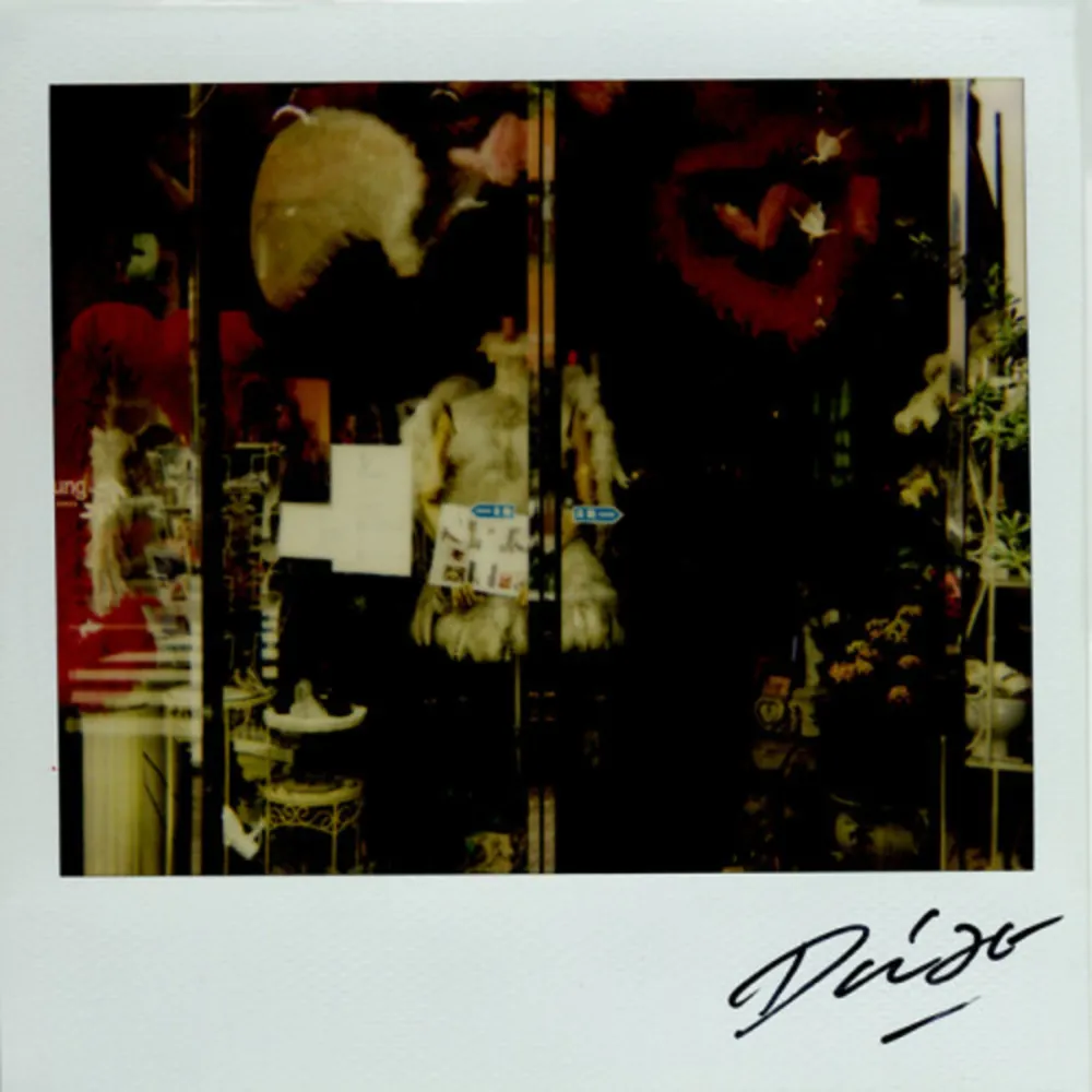 Multiplo Moriyama - Bye-Bye Polaroid 9
