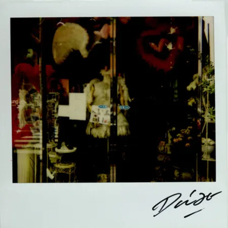 Multiplo Moriyama - Bye-Bye Polaroid 9