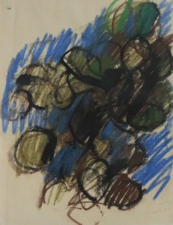 Non Tecnico Morlotti - FICHI D'INDIA