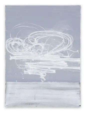 Non Tecnico Moser - 9.1