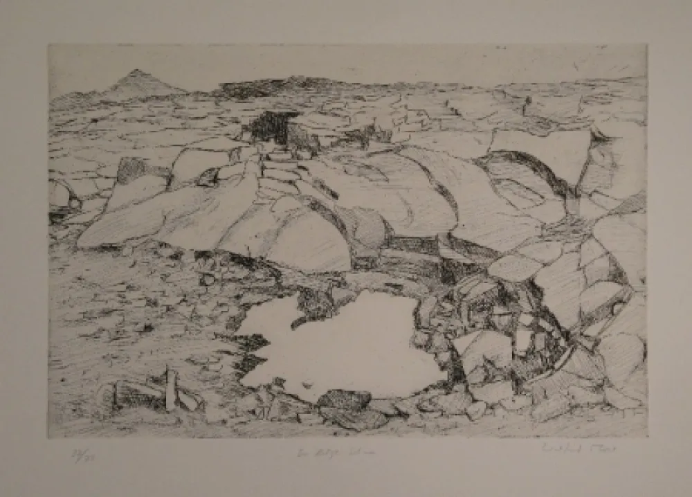 Incisione Moser - Der letzte Schnee