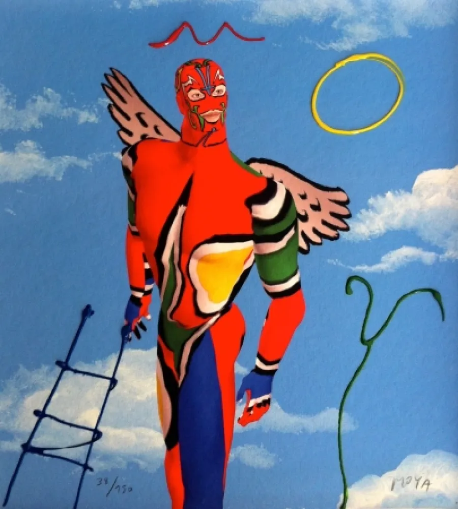 Grafica Numerica Moya - Moya Janus 